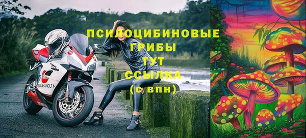 MDMA Premium VHQ Карталы