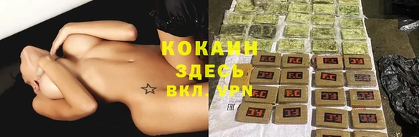 бошки Карпинск