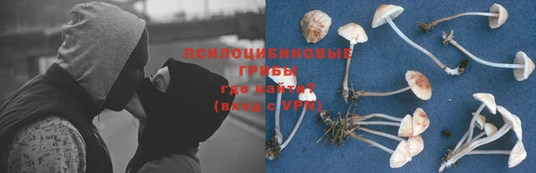 бутират Нязепетровск
